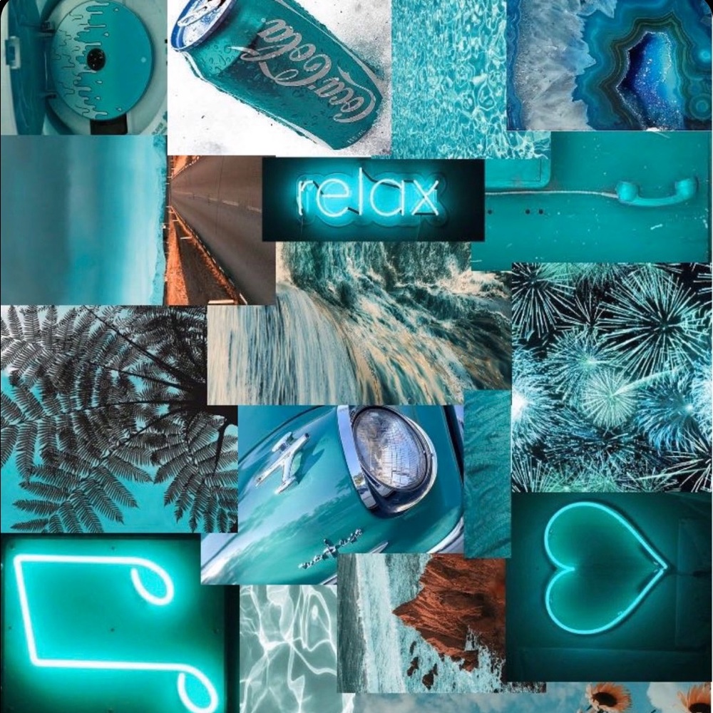 Meet your Posher, Ellie